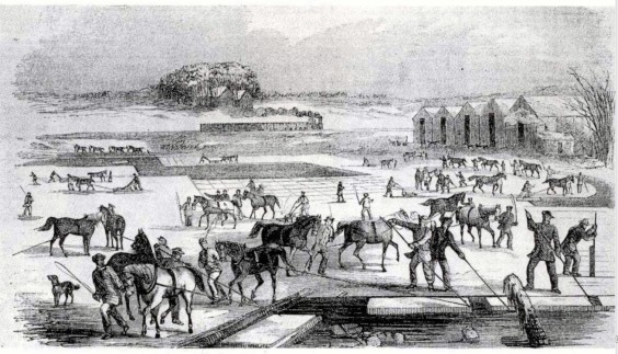 Ice_Harvesting,_Massachusetts,_early_1850s